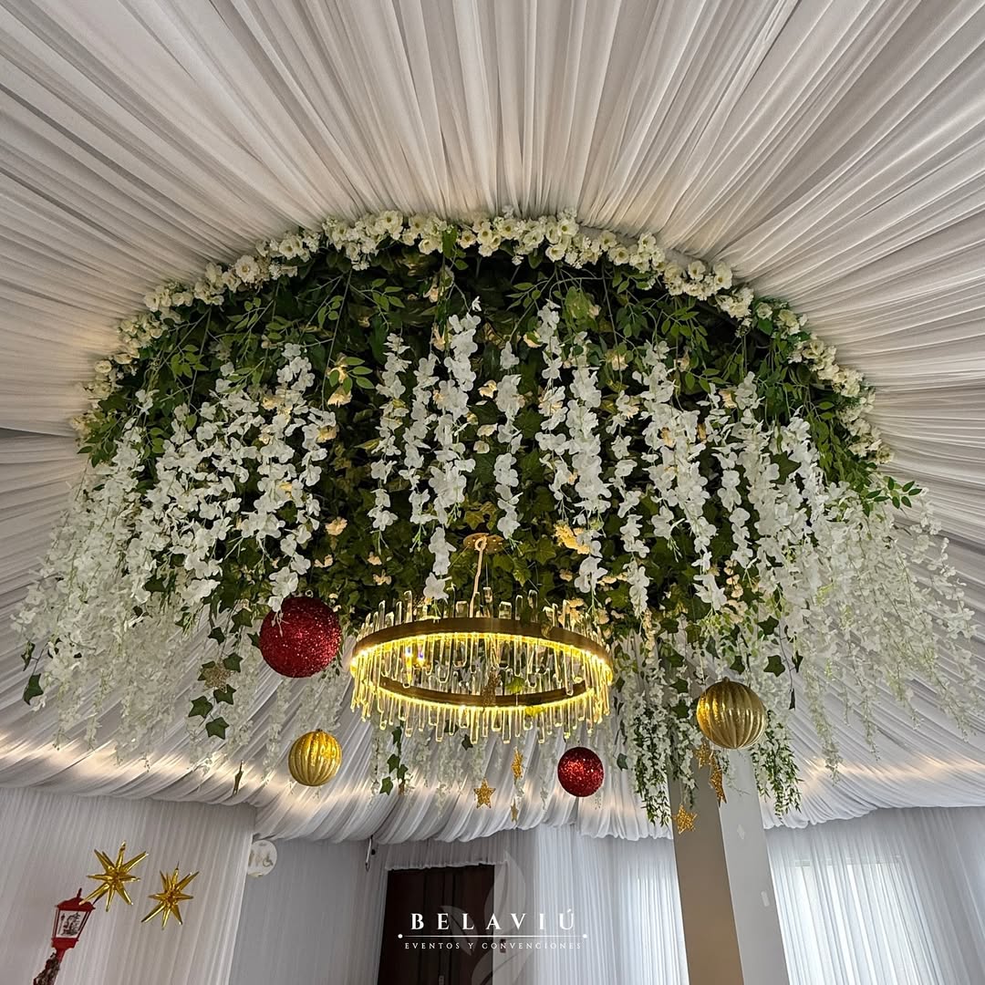 Cumpleaños y Graduaciones